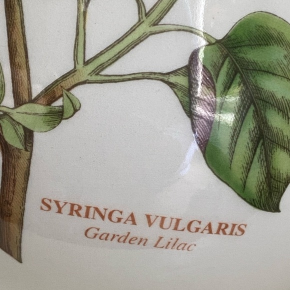 Portmeirion Botanic 2.75 Pt Coffee Pot NEW Garden Lilac - Picture 8 of 8